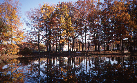 Pond in Morris Plains, NJ